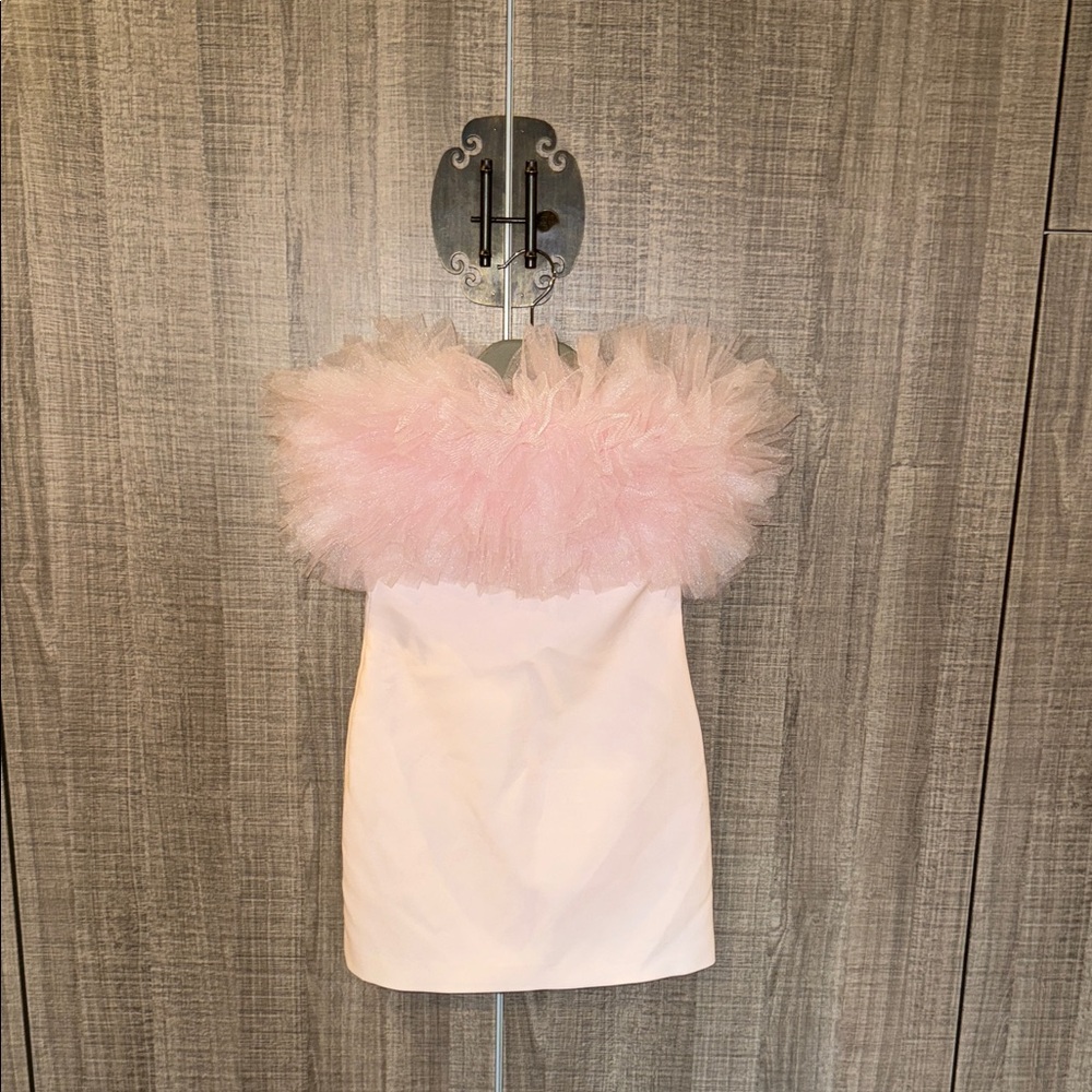 Zara‎ Tulle-Trim Strapless Mini Dress